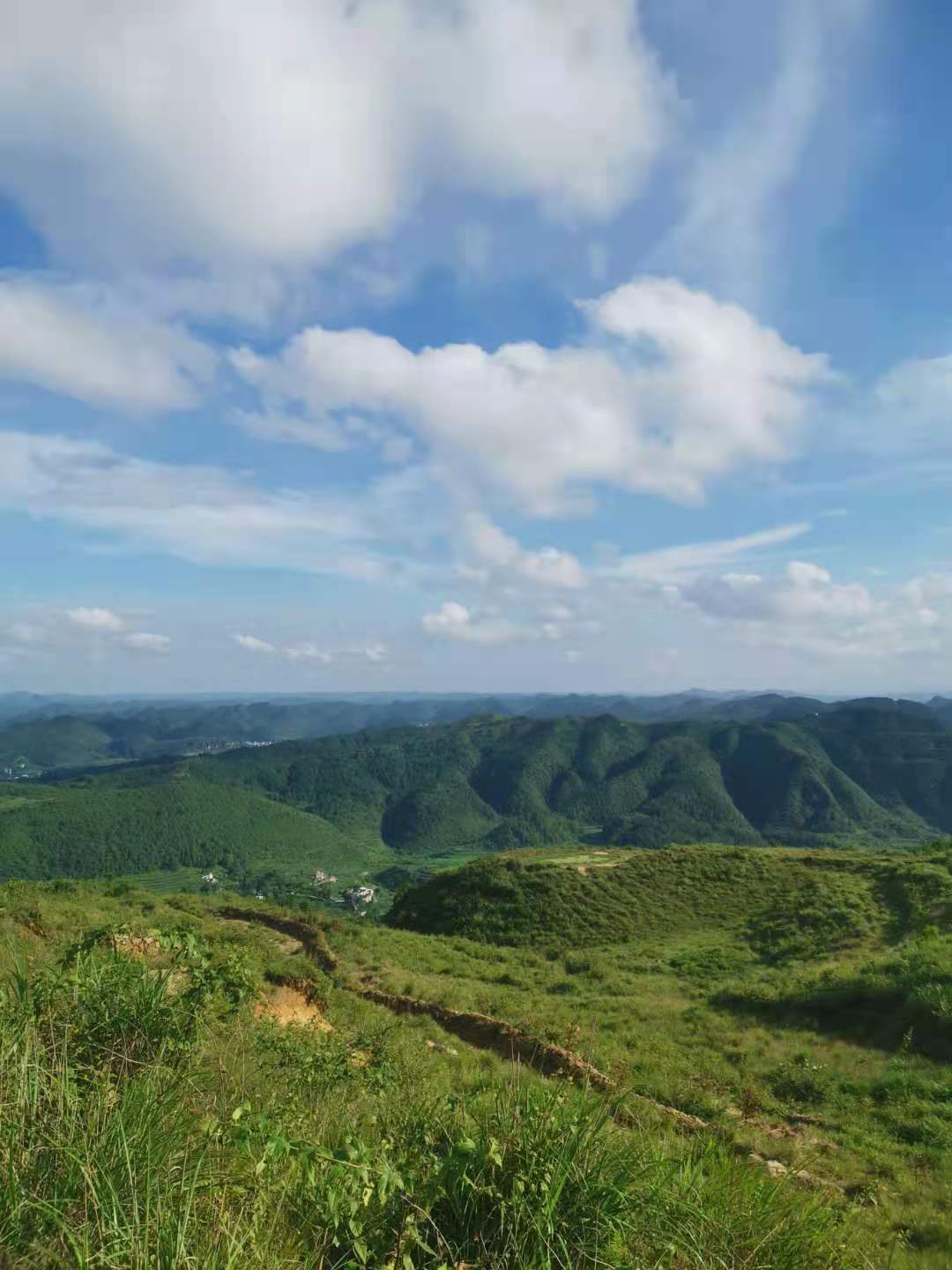 求职贵阳程序员,贵阳程序员前景