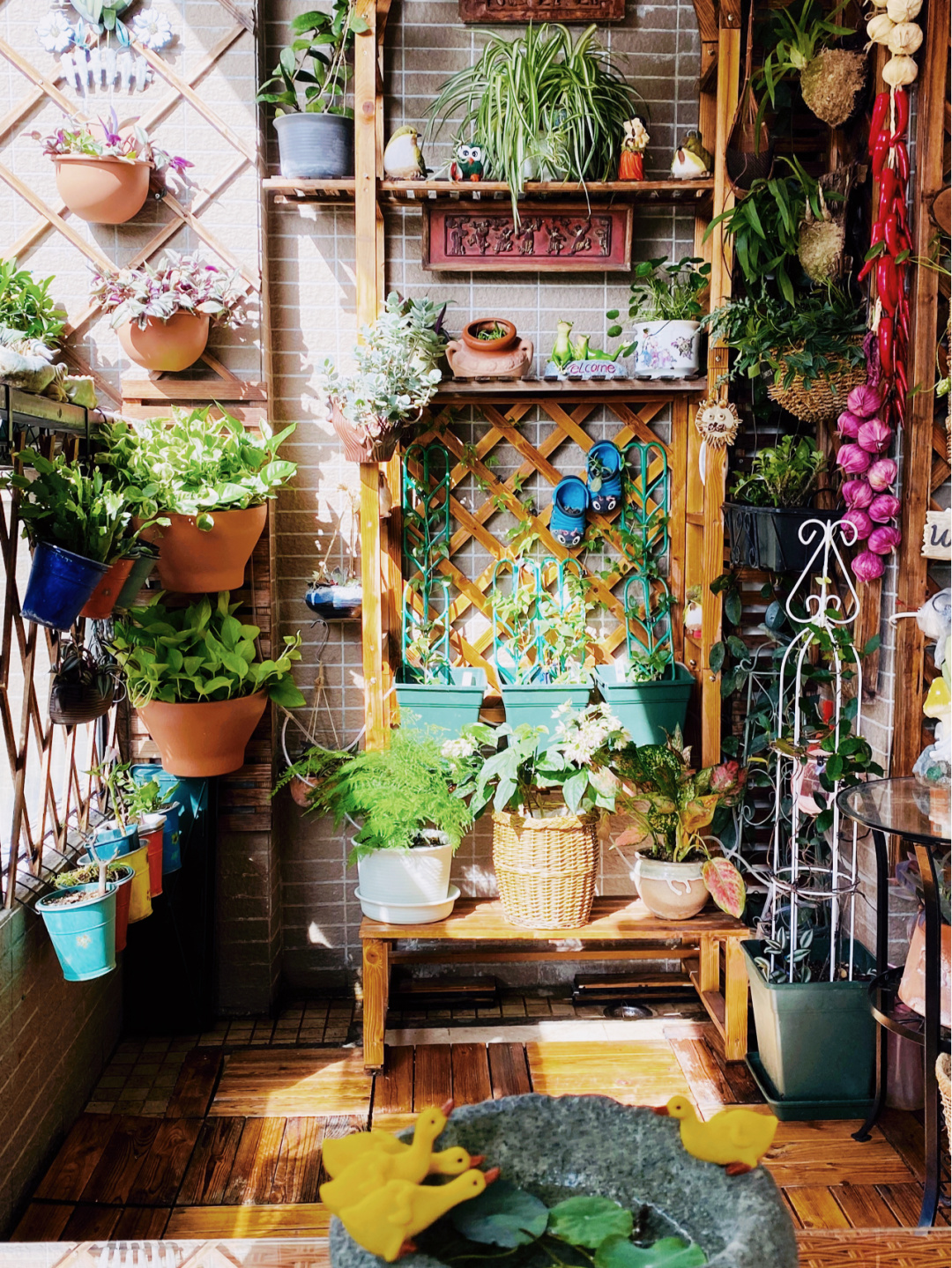 花里小黑飞根除绝招,治花土里小黑飞最好的方法