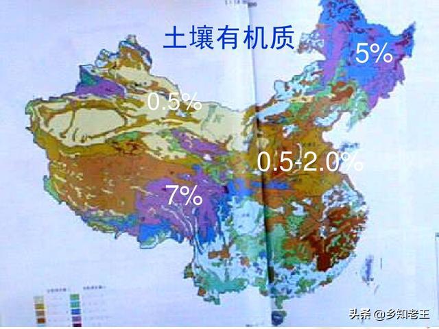 作物缺钼失绿怎么办,瓜类缺钼症的症状