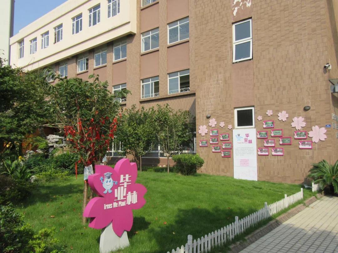 魔都新晋12所潜力小学汇总，上师大附属嘉定小学为嘉定唯一入选