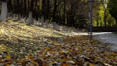沉浸式体验东风雷诺科雷嘉,16年雷诺科雷嘉试驾感受视频