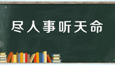 五十而知天命的天命是什么,五十而知天命的命什么意思