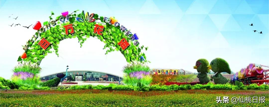 仙桃的美，你一定不能错过