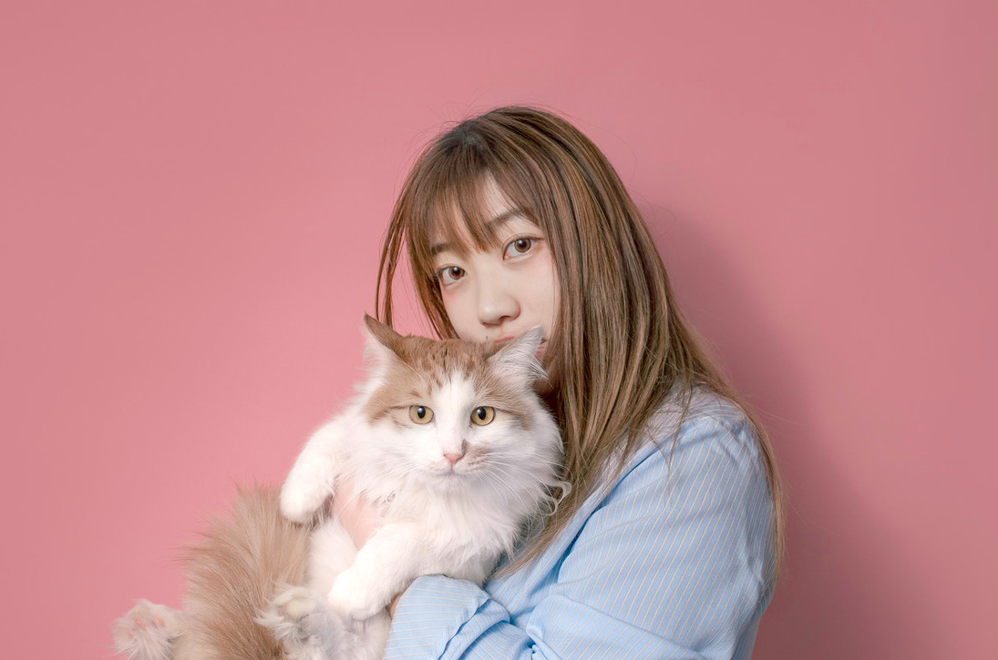 正确的抱猫咪的姿势,如何正确的抱猫咪