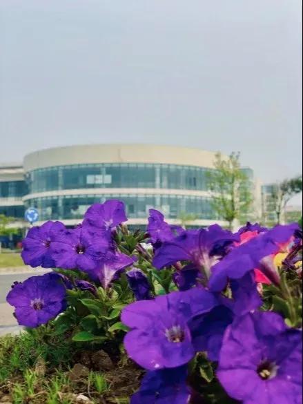 南通大学杏林学院多大面积,南通大学杏林学院排名
