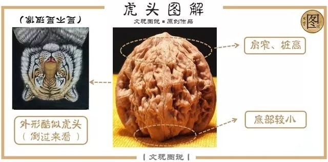 文玩核桃官帽和狮子头区别,文玩核桃官帽与狮子头区别