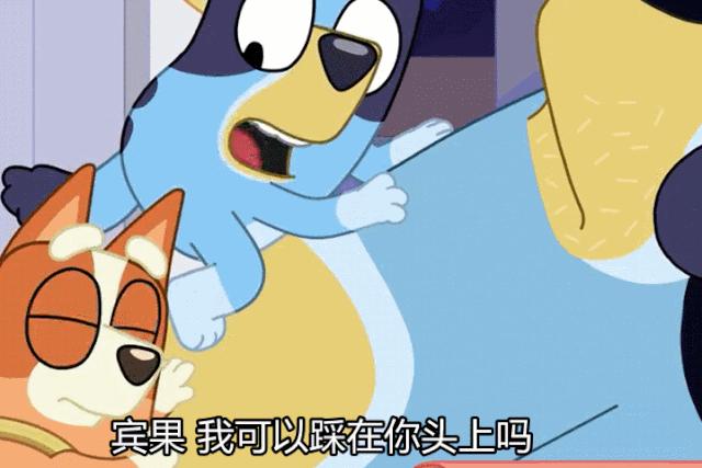 布鲁伊3-6岁幼儿启蒙早教,布鲁伊动画片可以给小猫看吗