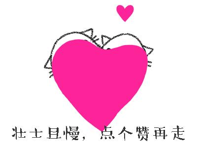 厦金航线哪里上船,厦金航线通关