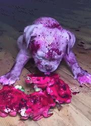 搞笑GIF段子：.我的小萝莉呢？你还我的小萝莉