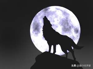 重视印度,莫迪对经济发展的重视