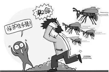 被马蜂蛰过敏性休克的急救措施,儿童被马蜂蛰了看不到毒刺