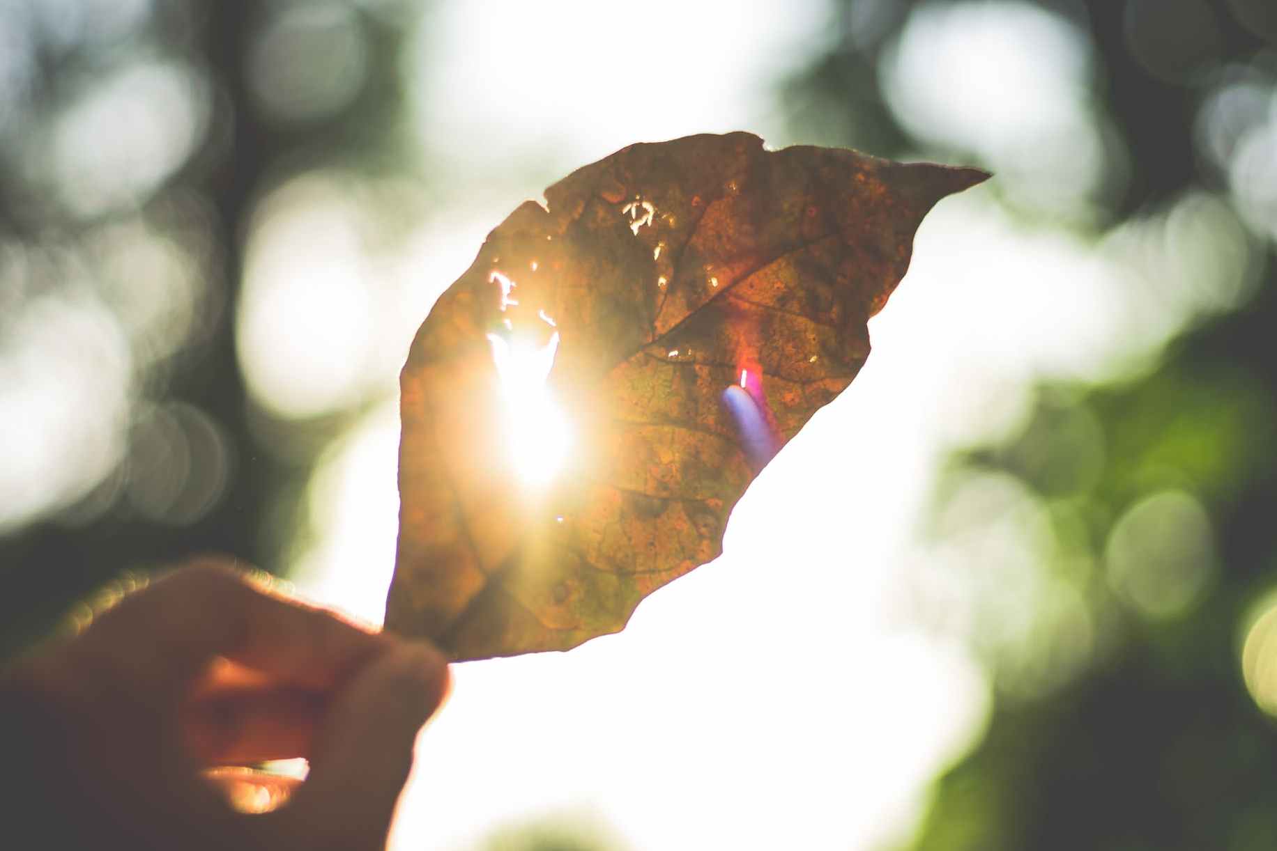 女孩子自卑懦弱怎么办,如何改变女孩子自卑的心理
