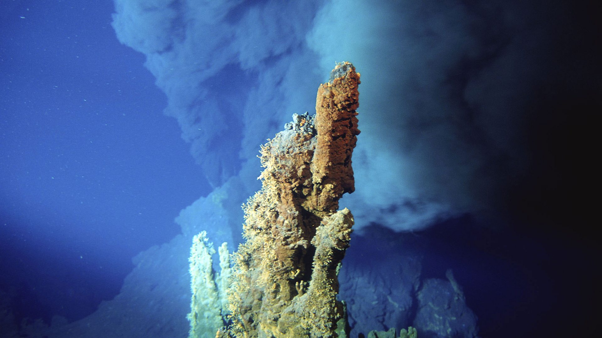 海底一万米的深处,潜入海底最深处你会发现什么