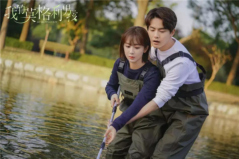 宠物情人日剧甜剧,宠物情人电视剧