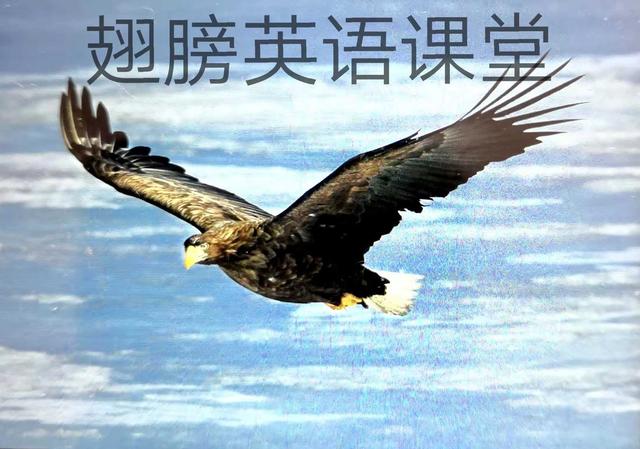 高考英语词汇3500朗读视频版,高考英语词汇3500讲解视频