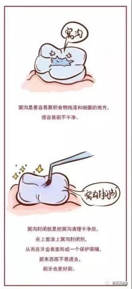 6-12岁儿童换牙的顺序图片,6-12岁换牙的顺序