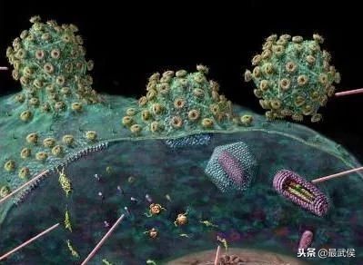 艾滋病是世界艾滋病日吗,世界艾滋病日科普视频