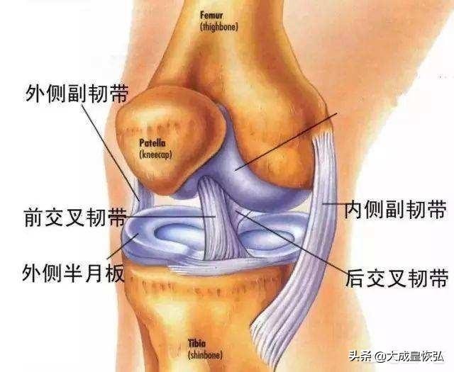 站桩膝盖受力训练,站桩修复膝关节损伤