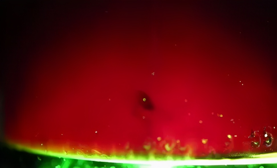 82拉菲为什么这么值钱,82拉菲有多少钱