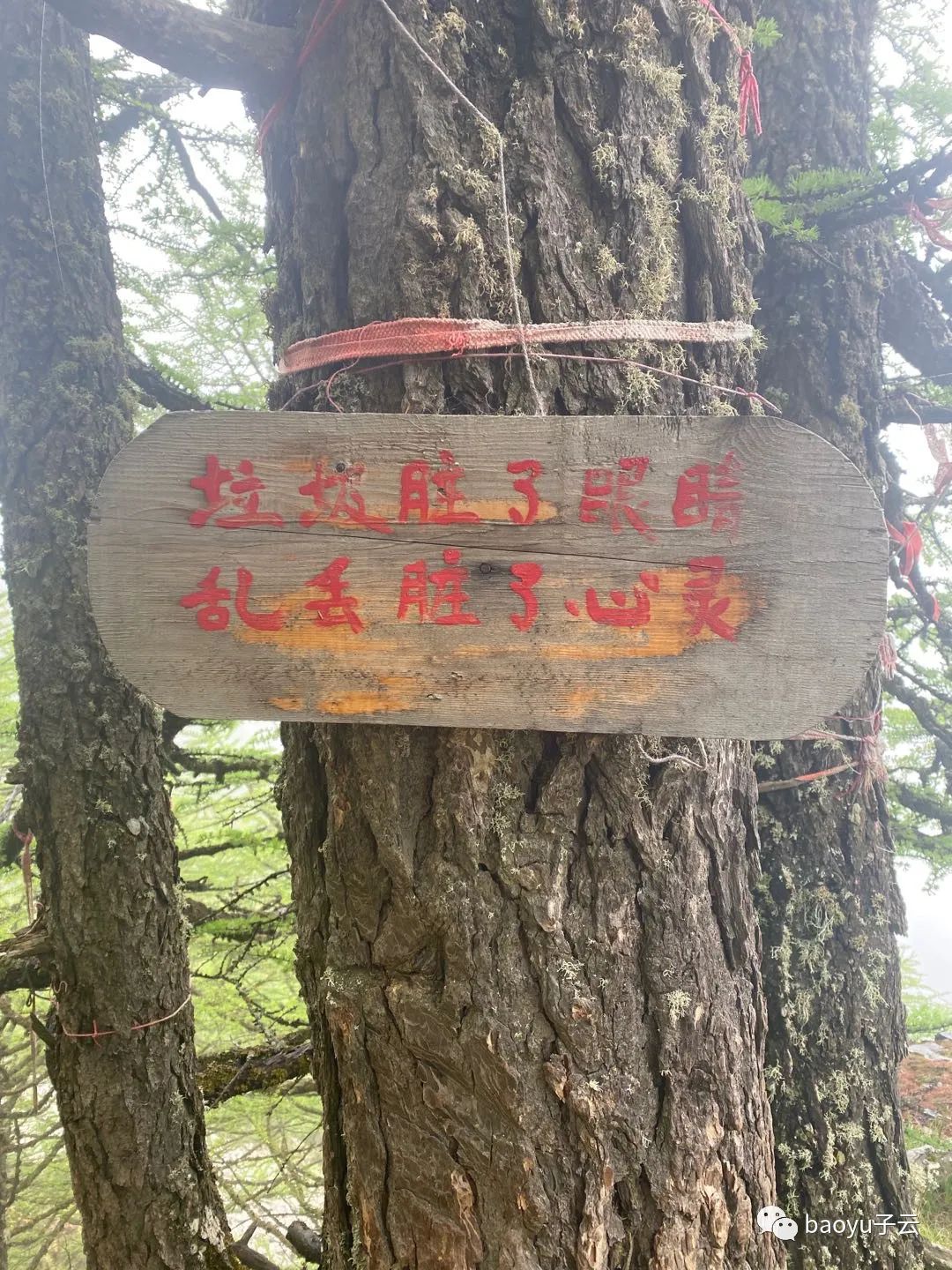 中华龙脊徒步教学视频,龙脊超全的旅行攻略