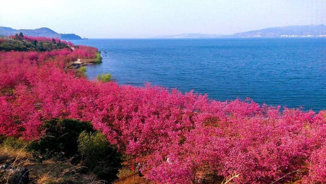 2月抚仙湖怎么玩,抚仙湖七天攻略