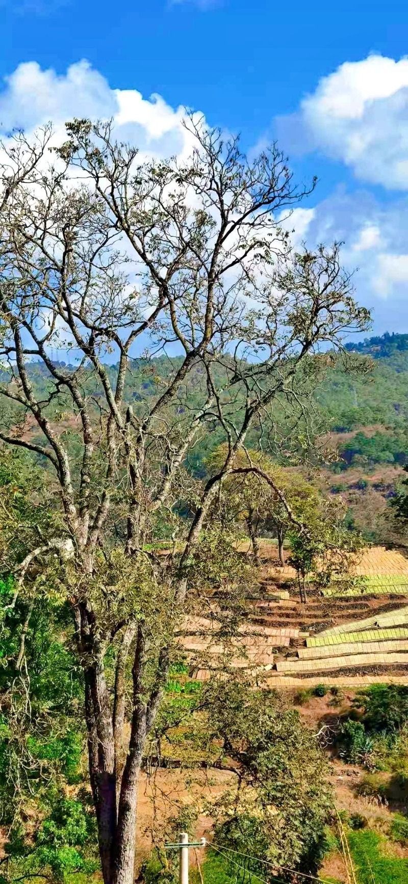 小小银针解民间疾苦——访圣爱李氏平息调络通经针法创始人李应华