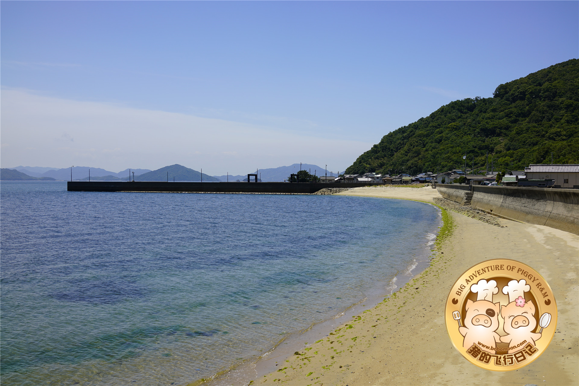 被铲屎官惊到的喵星人,让铲屎官瑟瑟发抖的喵星人