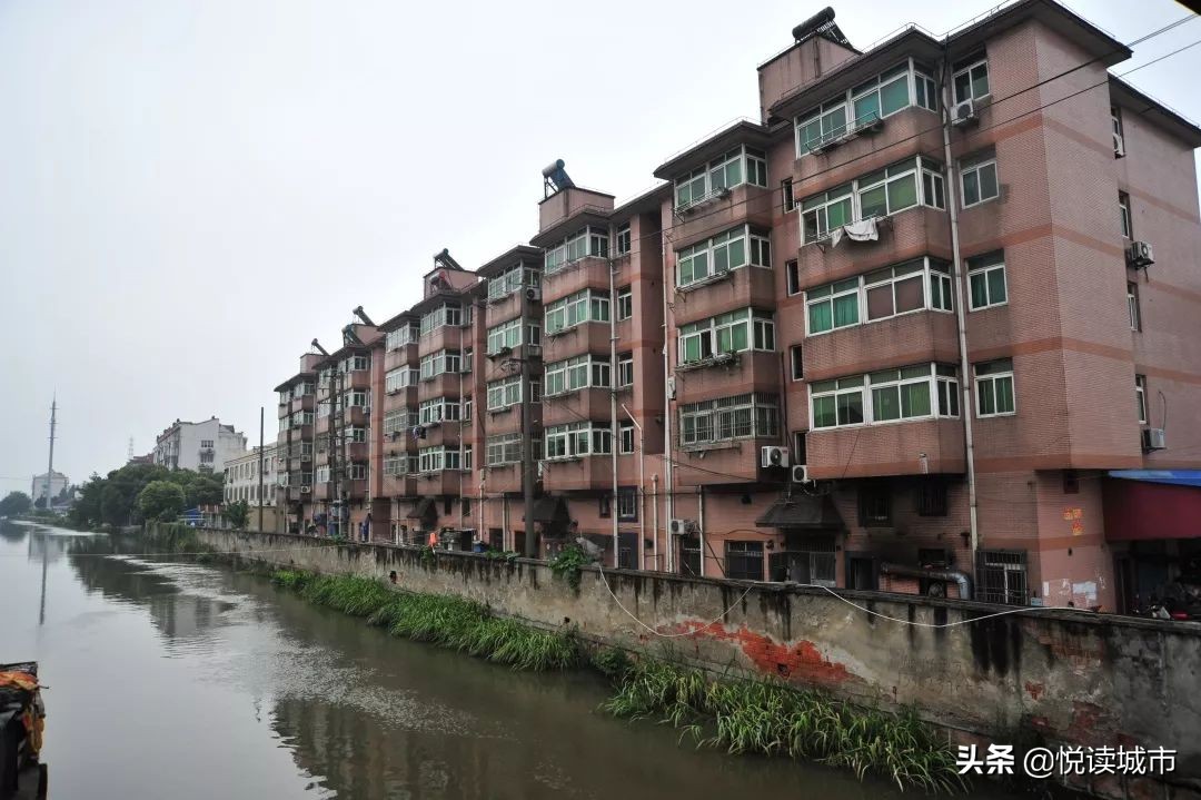 金秋赏“金”：新老照片对比金山发展老金山都不一定认得全