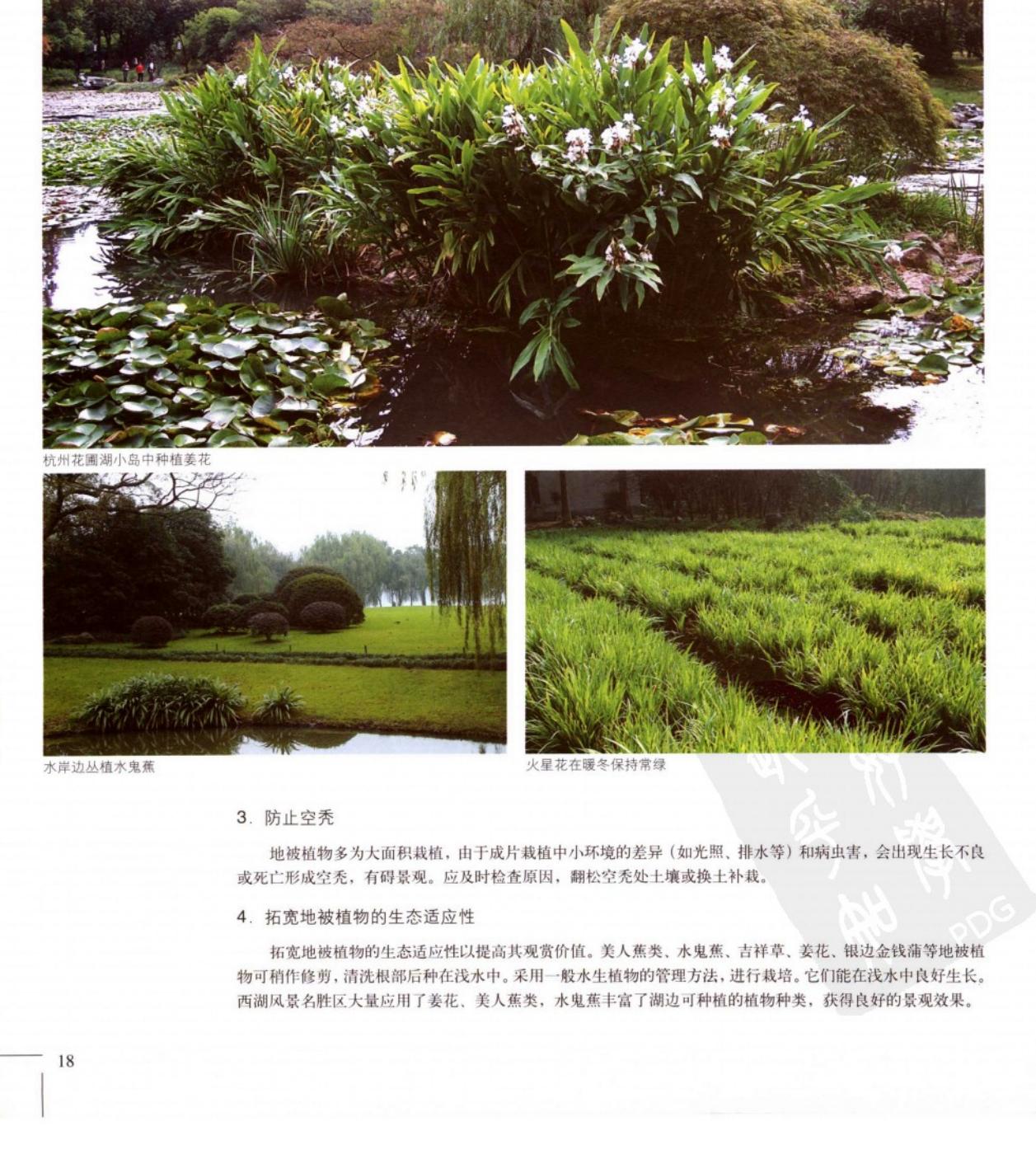 地被植物景观配置,优良地被植物