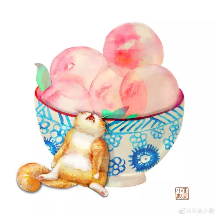 可爱的橘猫插画,一组可爱的治愈系猫咪插画