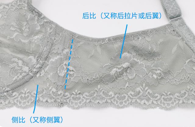 又美又撩的蕾丝内衣，舒适度也是杠杠的