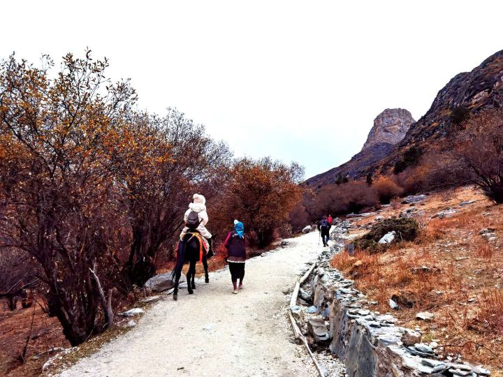 稻城亚丁旅游攻略书籍,稻城亚丁最新游玩攻略