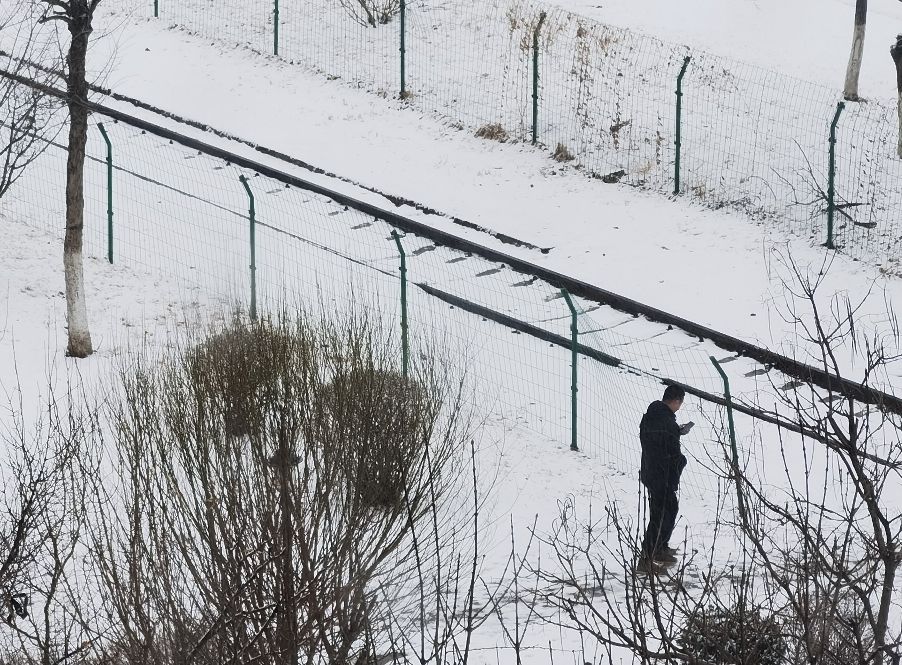 我看“春风”拂来的沈阳
