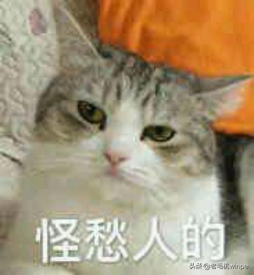 win10压缩内存占用cpu,win10内存为什么比win7占用多