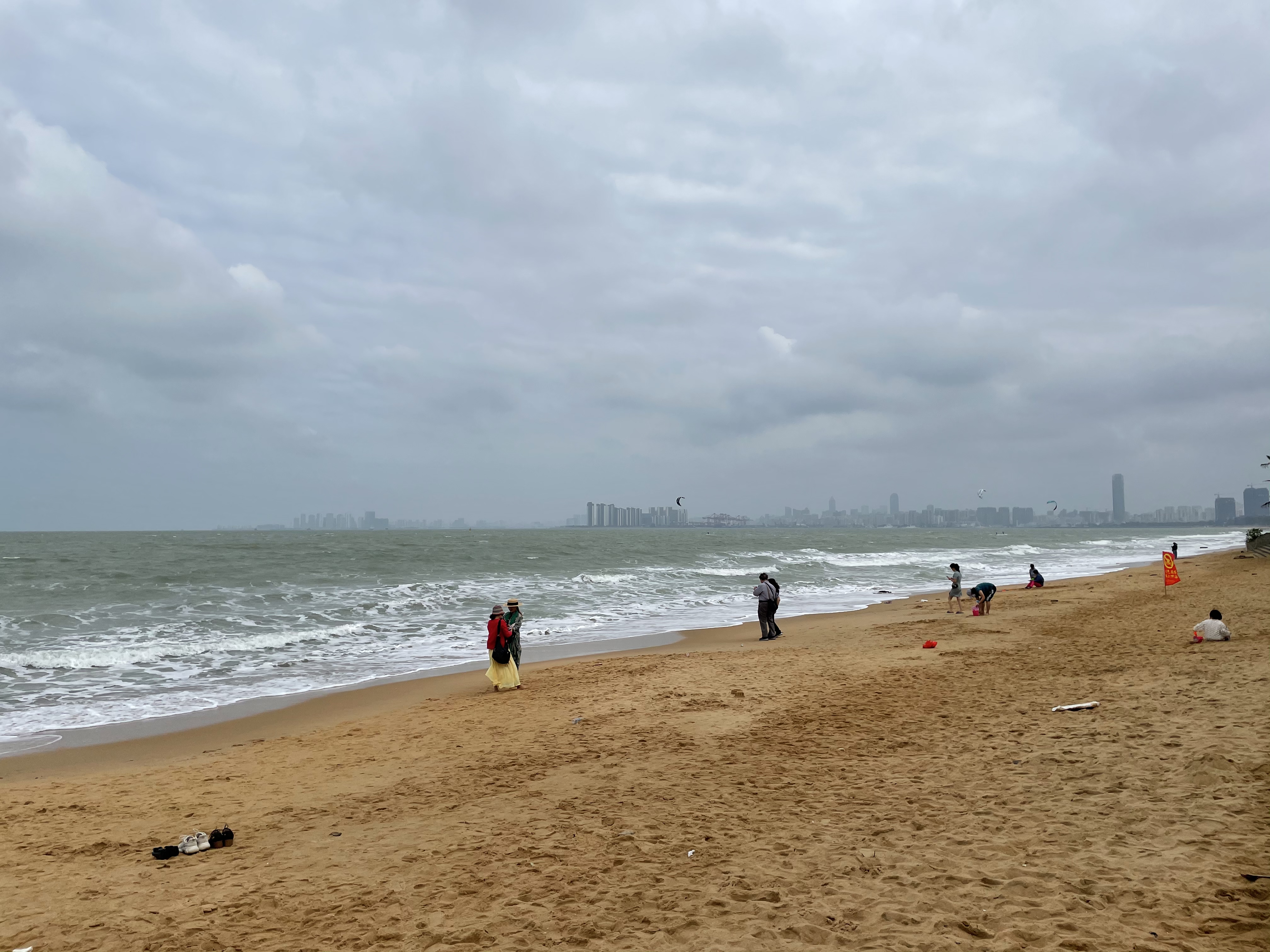 逐梦自贸海动椰城,逐梦海口嗨动椰城