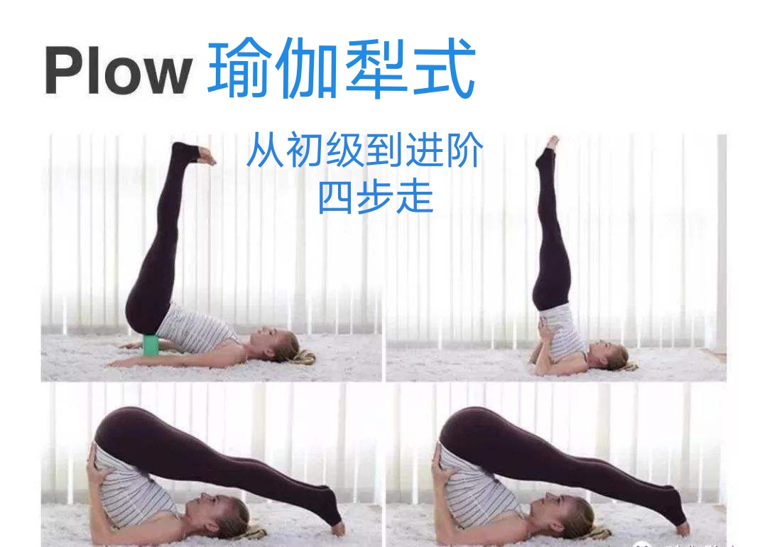 论抗衰老和冻龄能力，瑜伽倒立NO.1,教你零基础也能驾驭倒立