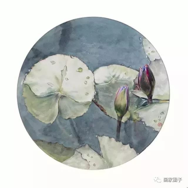 100种漂亮花卉图片,100张漂亮花图