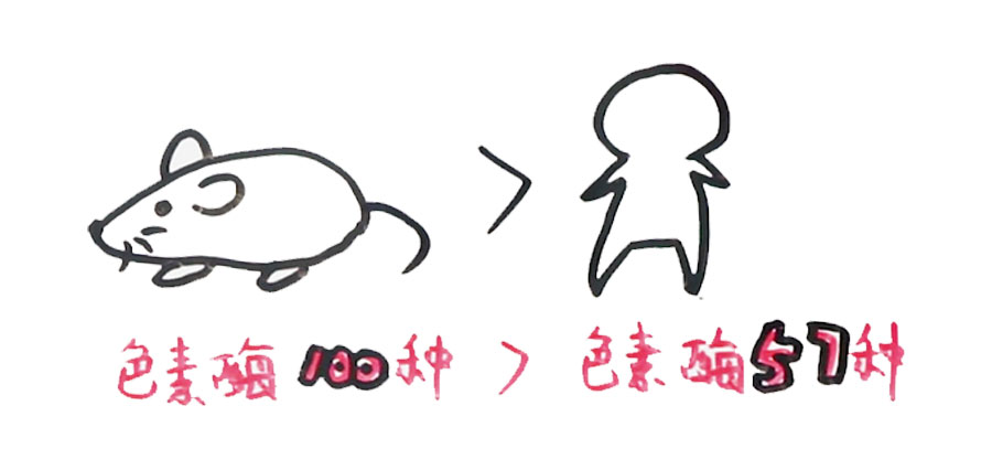 喝啥茶对肝脏排毒最快,科普肝脏是怎么排毒的