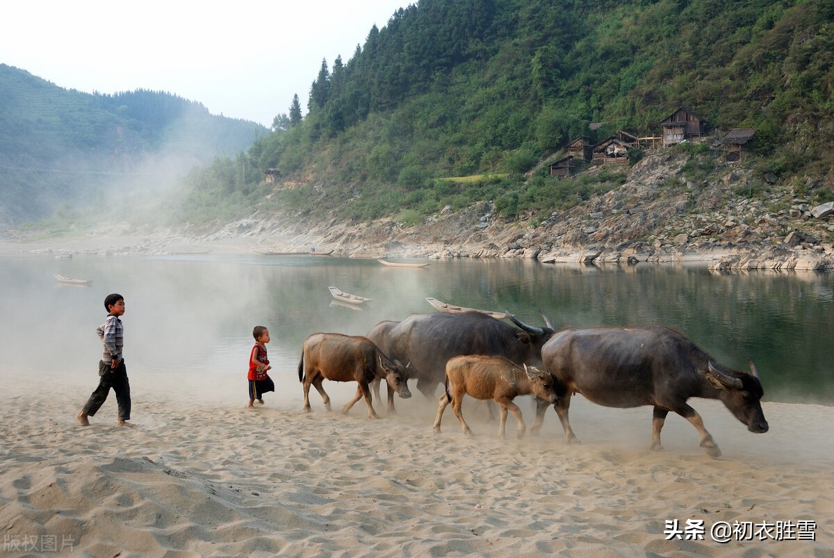 儿童节七言绝句的诗,写儿童节的儿童诗