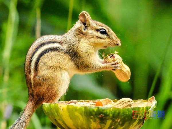 周末游玩避暑尽在密云清凉谷,北京密云冬天游玩攻略