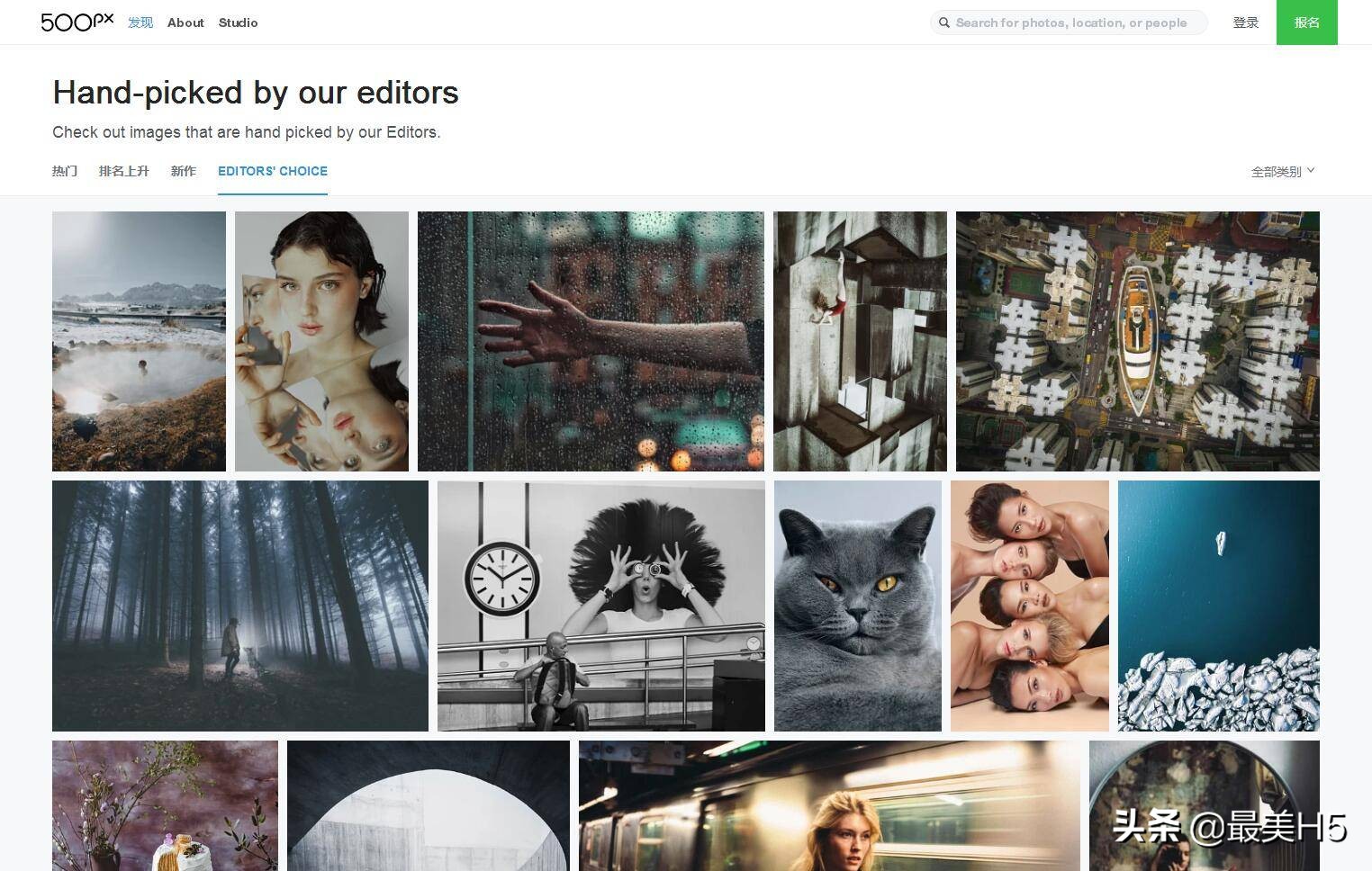 花瓣不在的日子，有哪些网站可以相伴