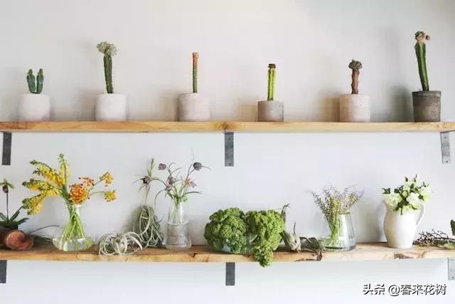 日本东京花店推荐,超美的花店