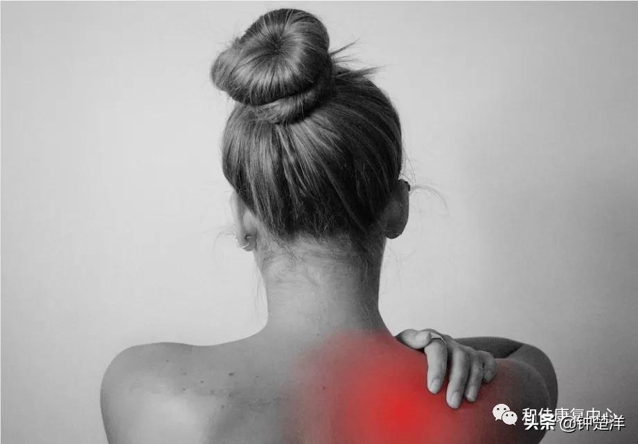 什么是运动康复mtt,什么是运动康复技术行业