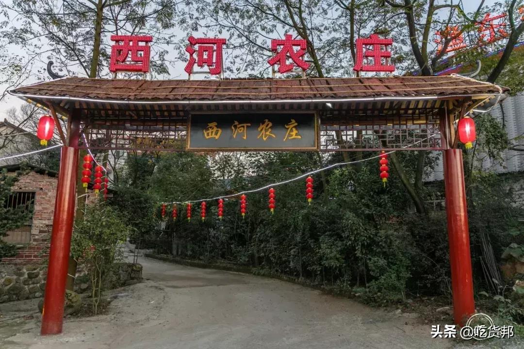 吃羊蝎子攻略,宁夏吃羊攻略你请收好