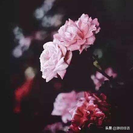 不喜欢去老婆娘家,不愿意回婆家的女人是什么心理