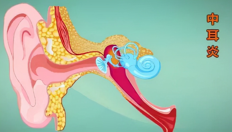 鼻息肉科普视频,健康科普带你了解什么是鼻息肉