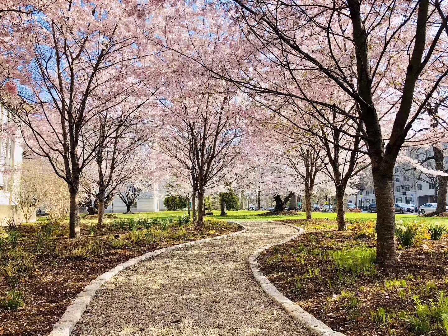 美国最好的理工专业排名,美国专业留学排名