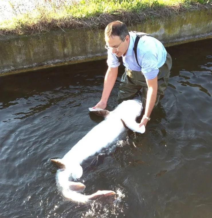 21万一罐的！亿万富翁们的饕餮盛宴，鱼子酱为什么在手背上吃？