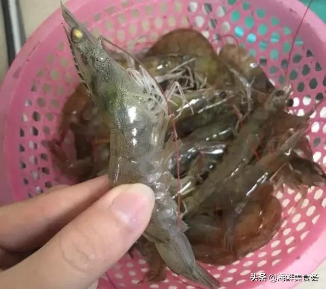 常见的鱼虾蟹等海鲜的认识,虾蟹类海鲜大全