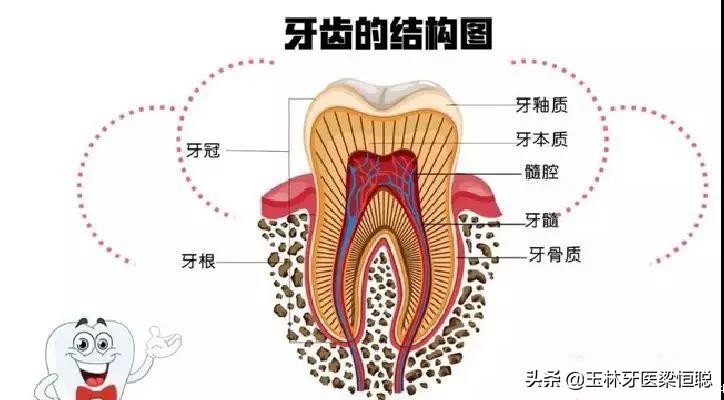 牙坏了医生说保不住为什么不给拔,牙崩了一半怎么补牙